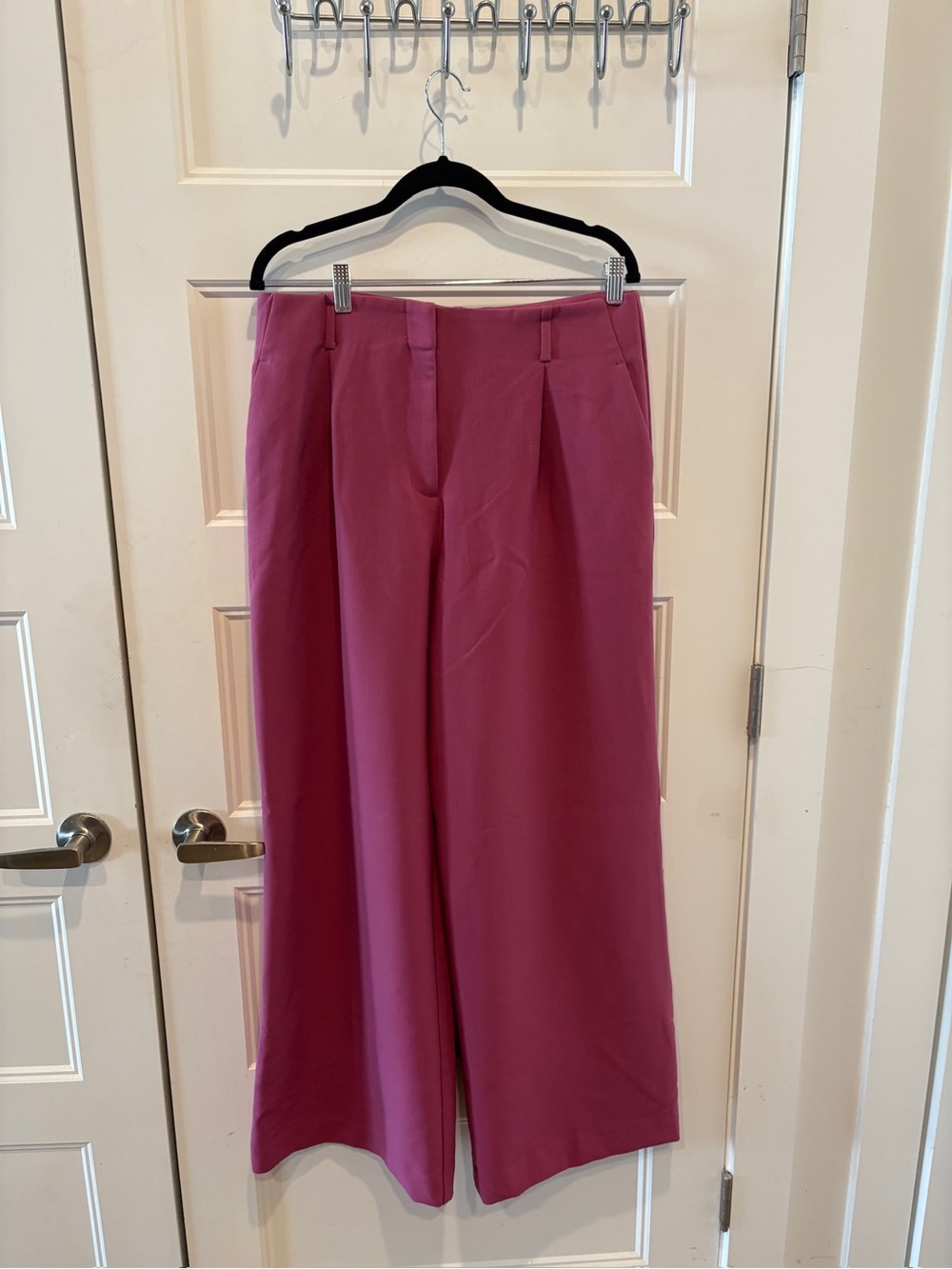 Ann Taylor Fuchsia Wide-Leg Pleated Pants